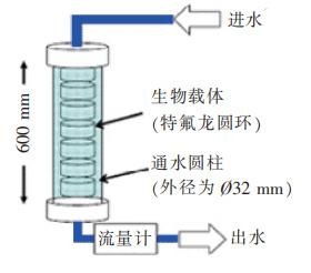 中浩遠達|微生物黏膜形成率（BFR）