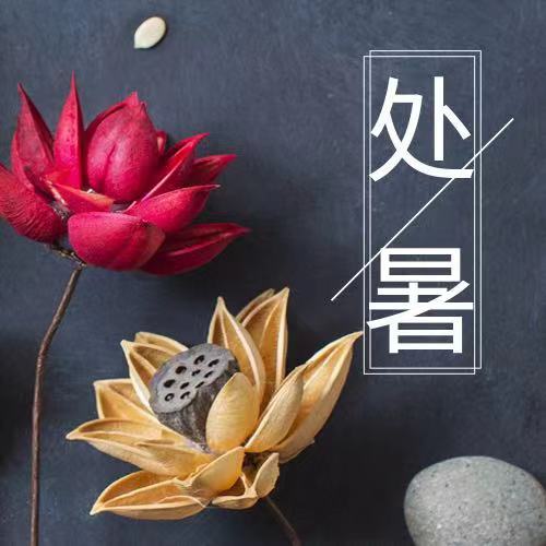 處暑|四時(shí)俱可喜，最好新秋時(shí)