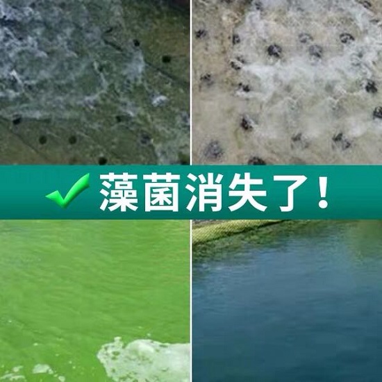 中浩遠(yuǎn)達(dá)|殺菌劑對(duì)循環(huán)冷卻水常見微生物處理