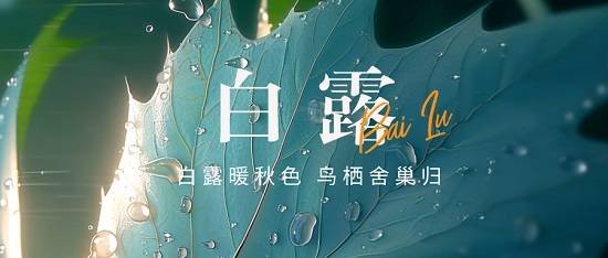 白露|白露暖秋色 鳥(niǎo)棲舍巢歸